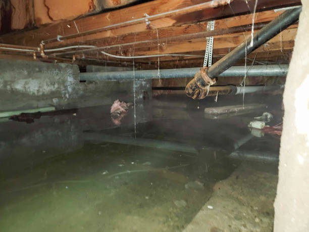 Best Fire Damage Restoration  in Old Orchard, PA