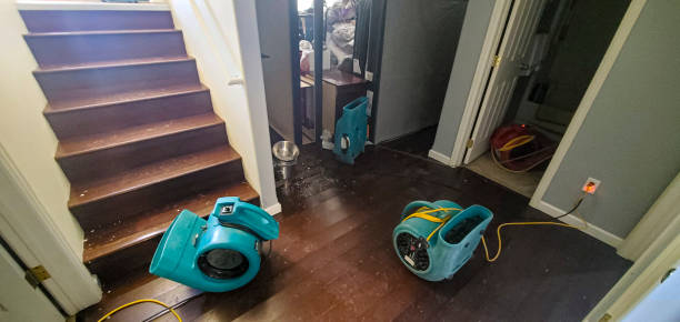 Best Fire Damage Restoration  in Old Orchard, PA