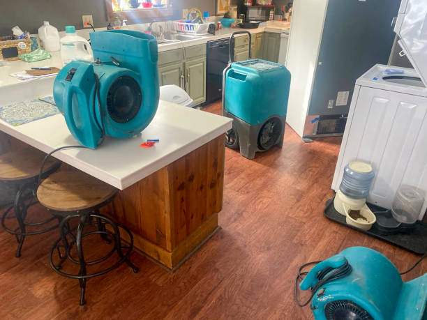 Best Flood damage cleanup  in Old Orchard, PA