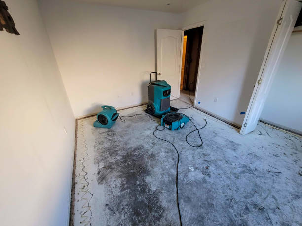 Best Water damage restoration company  in Old Orchard, PA