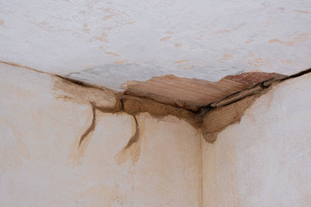 Best Carpet water damage restoration  in Old Orchard, PA