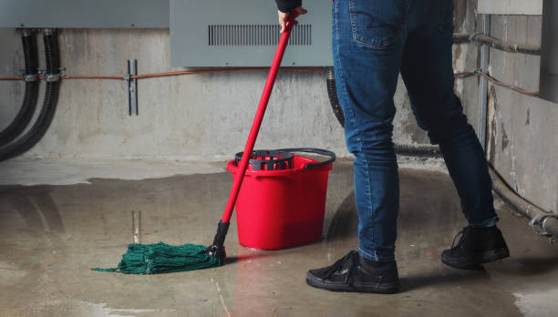 Best Mold removal after water damage  in Old Orchard, PA