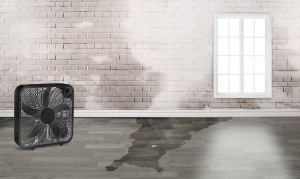 Best Water damage restoration near me  in Old Orchard, PA