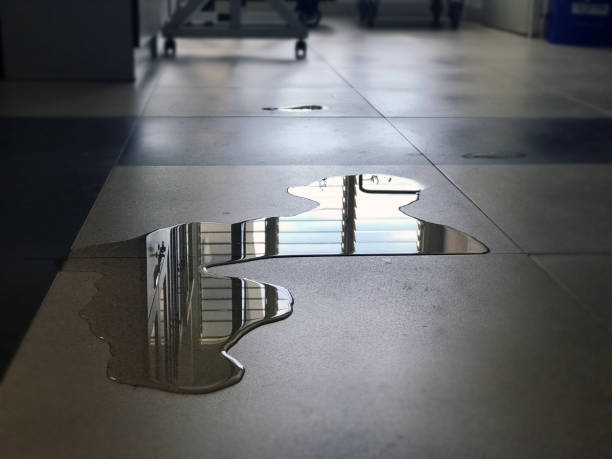 Best Water damage restoration cost  in Old Orchard, PA