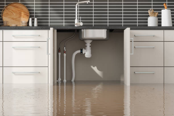 Best Water damage cleanup near me  in Old Orchard, PA
