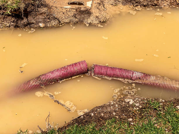 Best Residential water damage restoration  in Old Orchard, PA